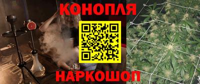 ПСИЛОЦИБИНОВЫЕ ГРИБЫ Ачхой-Мартан