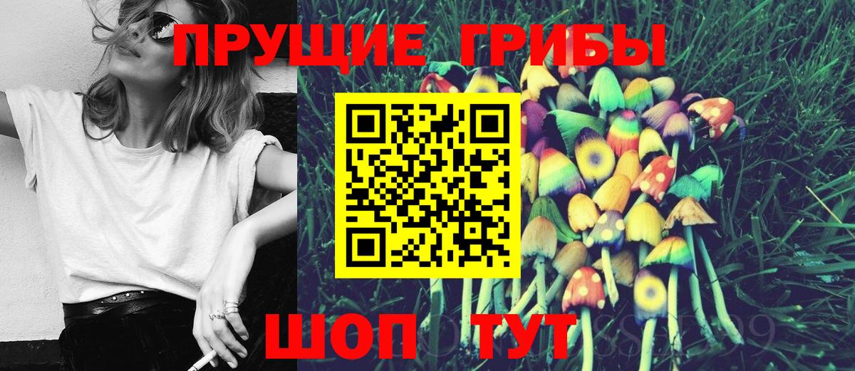Советский  Галлюциногенные грибы Psilocybine cubensis  Вход с VPN 