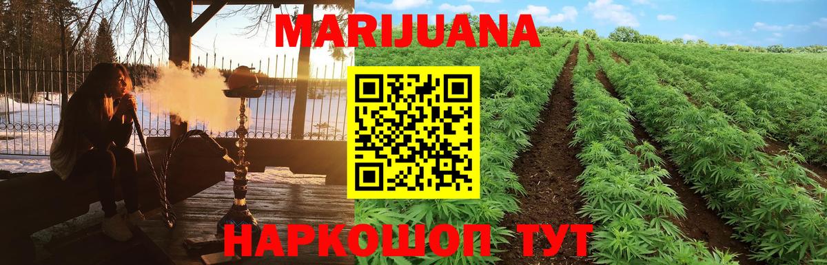 Канабис ГИДРОПОН Советский
